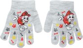 PAW Patrol - Gants PAW Patrol - Marshall - gris