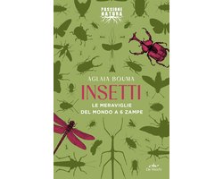 Insetti