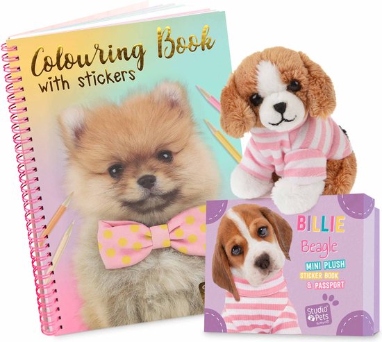 Carnet de coloriage avec un spitz nain et un nœud papillon, peluche 'Billie Beagle' avec haut rayé et valise.