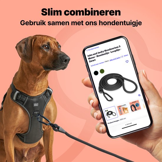 Rhodesian Ridgeback portant un harnais gris, à côté d'une main tenant un smartphone montrant une laisse pour chien noire.
