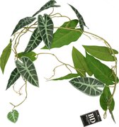 Bellatio Design kunstplant/hangplant slinger - 2x - Alocasia - groen - 105 cm lang - planten guirlandes
