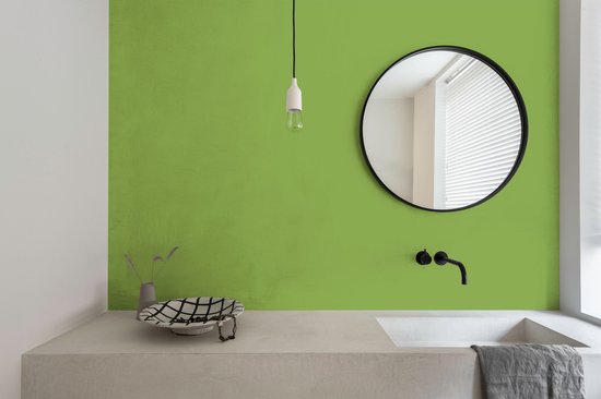 Levis EasyClean - Mur Mat Mix - Vert Clair B60 - 1L