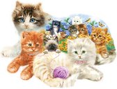 Legpuzzel - Contourpuzzel - 1000 stukjes - A litter of Kittens- SunsOut Puzzel