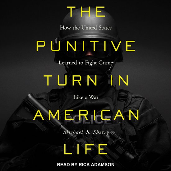 The Punitive Turn in American Life - cover