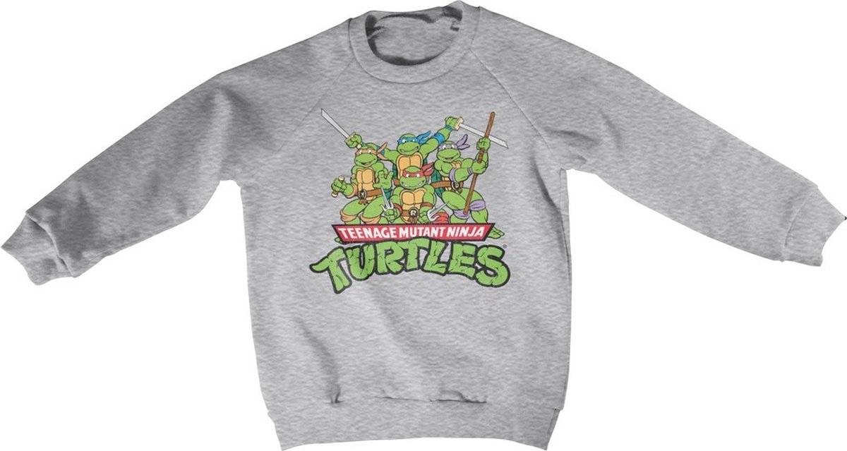 Teenage Mutant Ninja Turtles Teeange Mutant Ninja Turtles Distressed Group kindersweatshirt, heathergrijs