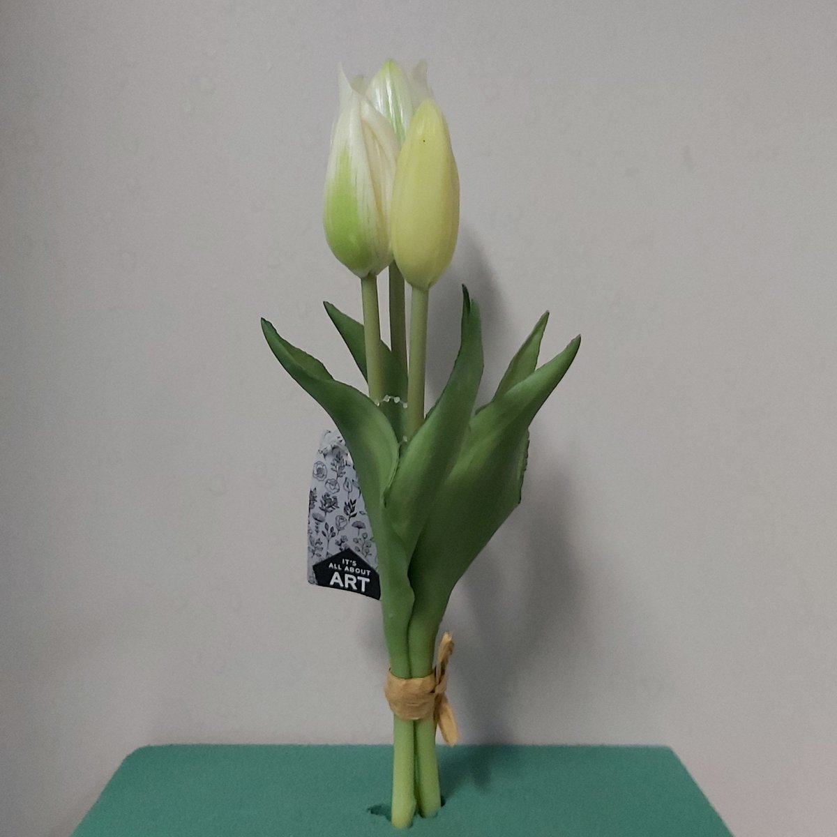 Nova Nature Holland tulp bundel Sally x3 25cm creme