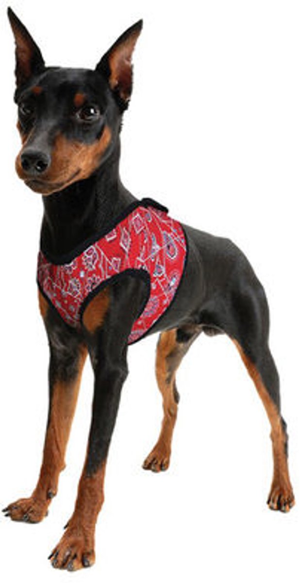 Harnas Comfy Aqua coolkeeper Red Western koeltuig hond - Maat XS - 26-30 cm