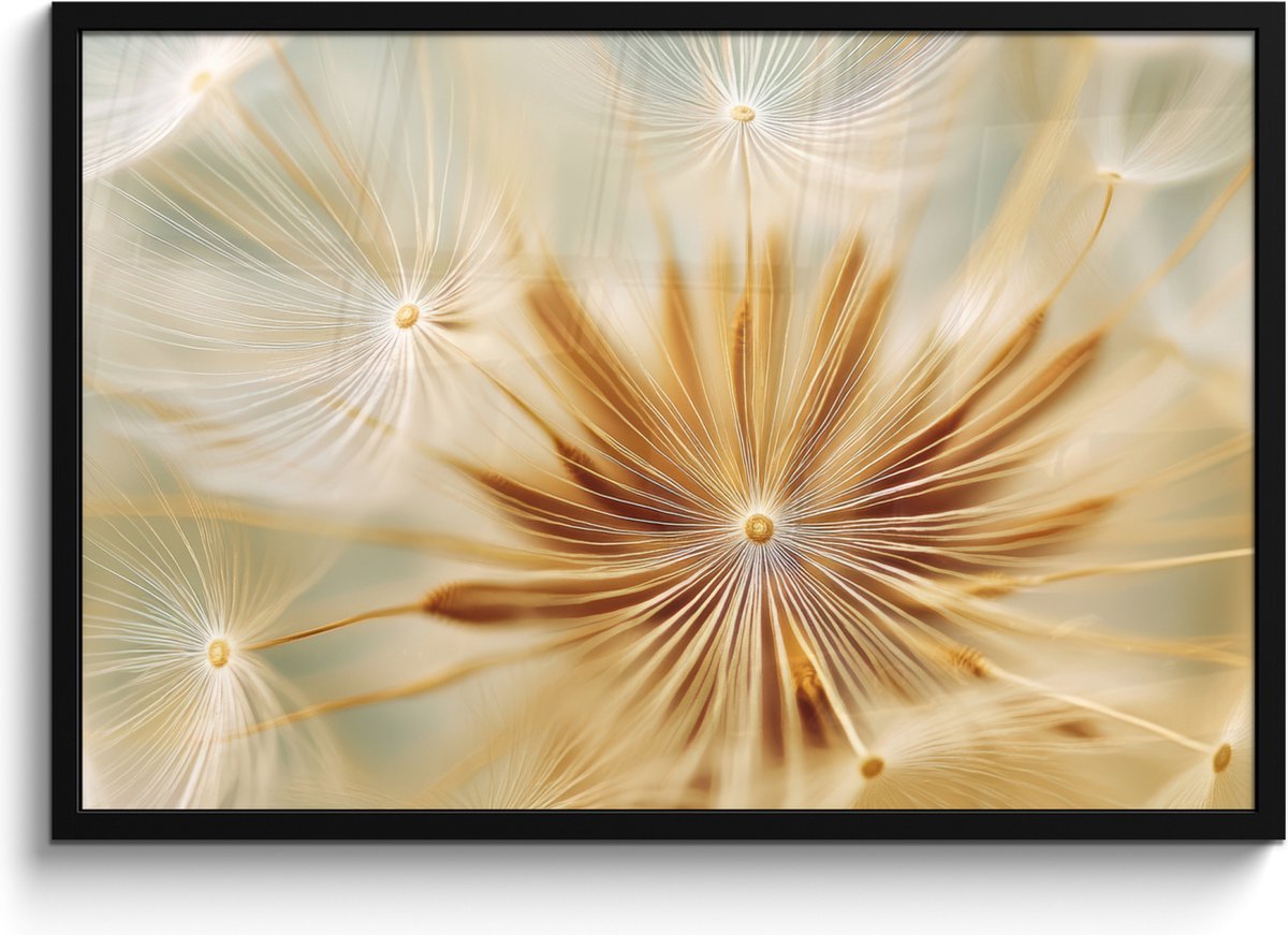 FrameYourWall Poster in lijst - Fotolijst 90x60 cm - Posters - Paardenbloem - Beige - Abstract - Modern - Natuur - Posterlijst zwart - Decoratie - Wanddecoratie woonkamer - Muurdecoratie slaapkamer Paardenbloem - Abstract