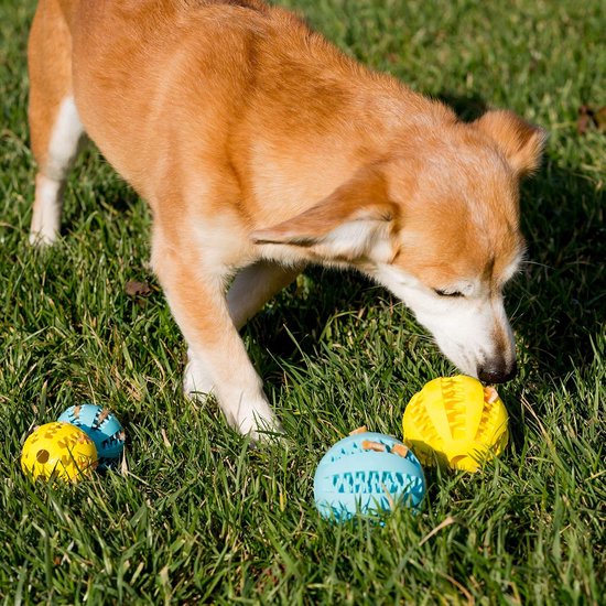 Horolas Dog Training Dummy Floating Dog Water Toy for Water Retrieval