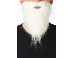 Faram Korte witte verkleed baarden - Voor kabouters/dwergen - Carnaval