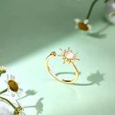 Fidget ring zon - anti-stress - anti-angst - spinner ring