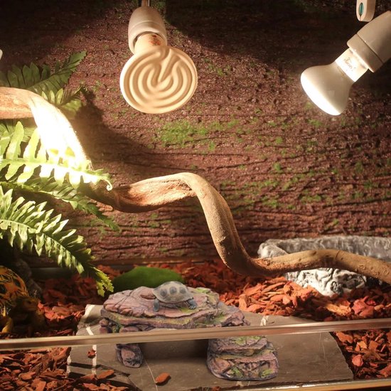 HEEPDD Reptielengrot, terrarium landschildpad harsplatform verborgen habitat aquarium terrarium decoratie ornament voor kleine hagedissen schildpadden amfibieën vis (groot HEEPDD Reptielengrot, terrarium landschildpad harsplatform verborgen habitat aquarium terrarium decoratie ornament voor kleine hagedissen schildpadden amfibieën vis (groot