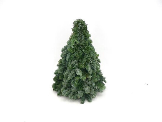 De Nobilis Kerstboom , Compacte Vorm, Kerst 40cm