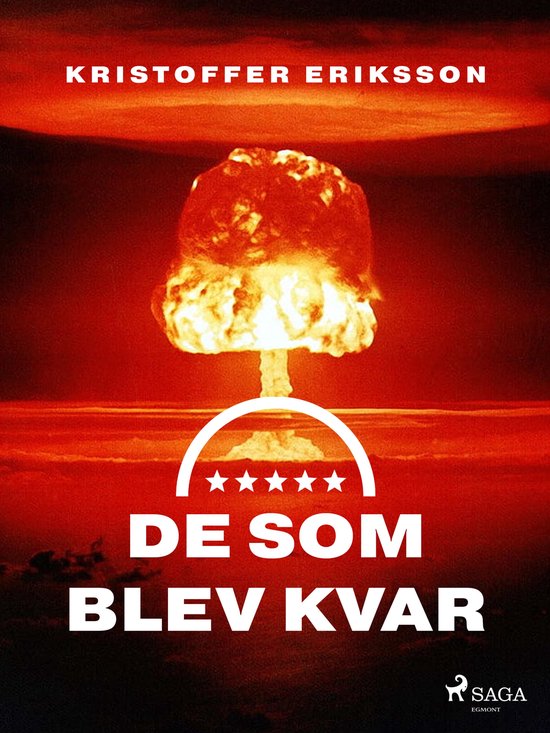 De som blev kvar - cover