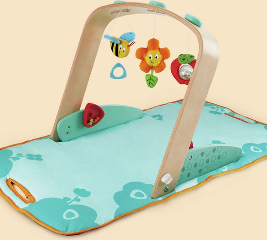 Hape play gym hotsell