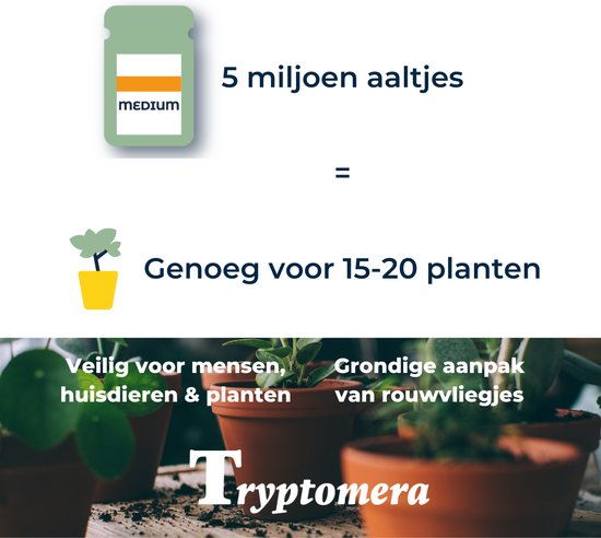Aaltjes tegen rouwvliegjes - 5 miljoen aaltjes - voor 20 kamerplanten of 10m² - 100% natuurlijk bestrijden van rouwvliegen (varenrouwmuggen) - bestrijd ook poppen van trips