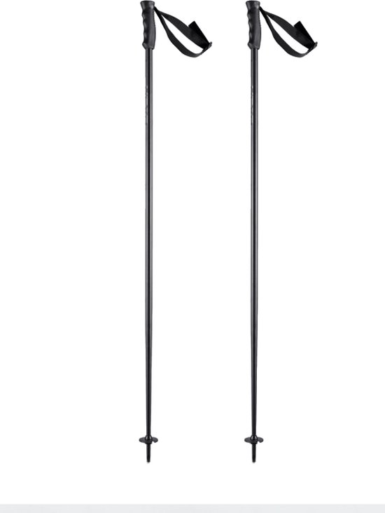 Head Multi skistokken – zwart