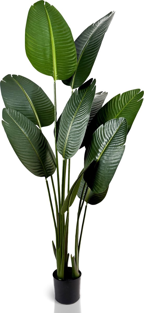 IvoQ Strelitzia Kunstplant 160 cm - Grote Paradijsvogelplant in Pot - Levensecht & Onderhoudsvrij - Voor Binnen