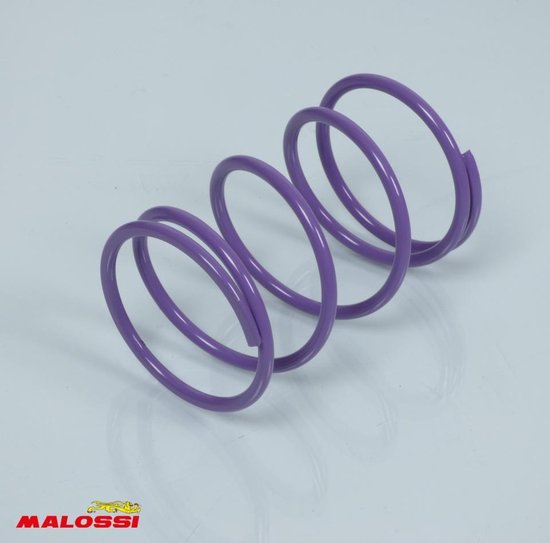 Koppelingsveer Malossi voor Scooter Peugeot 50 Trekker 29 8324.V0 / 5.5k Gloednieuw