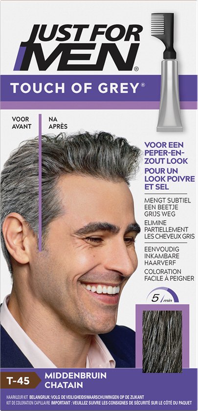 Just For Men Touche de Gris H45