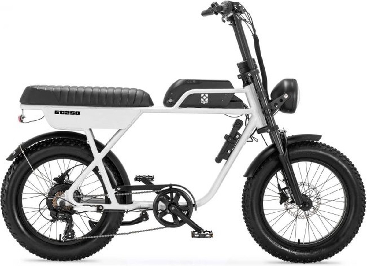 AGM GT250 - Fatbike - 12.8Ah - Wit - Hydraulische remmen