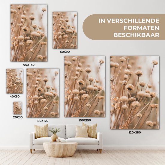 Peinture sur toile Fleurs séchées - Beige - Fleurs - Nature - 20x30 cm - Décoration murale