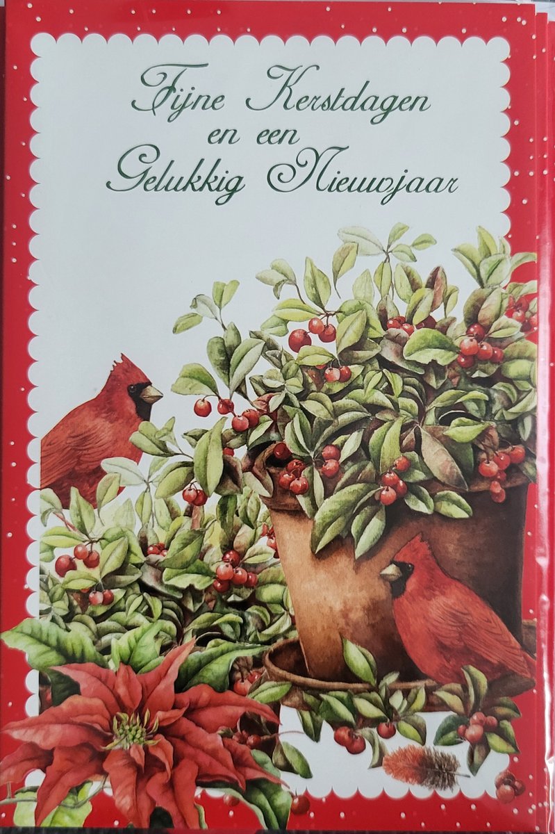 Kerstkaarten - kerstkaart Janneke Brinkman - 8 dubbele wenskaarten met 8 enveloppen - vogeltjes kerstster
