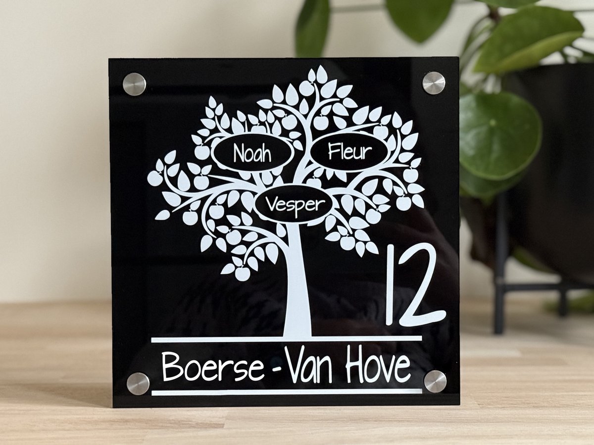 Naambordje / huisnummer voordeur boom glans zwart 20x20cm met rvs afstandhouders