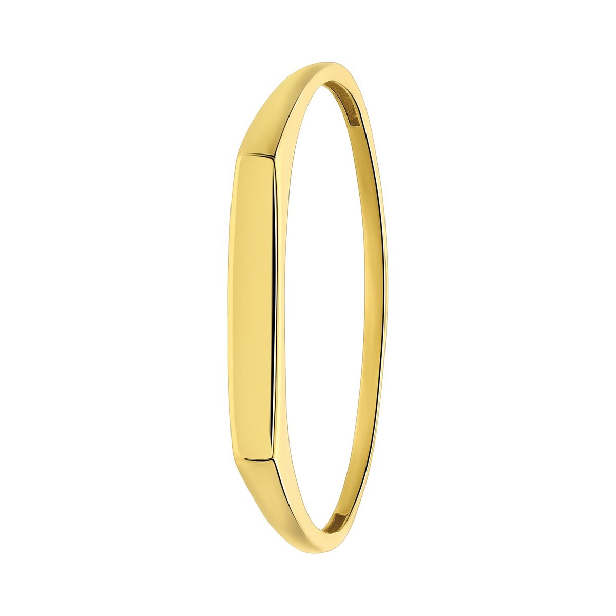 Lucardi Dames 14 karaat geelgouden ring met bar - Ring - 14 Karaat Goud - Geelgoud - 18 / 57 mm