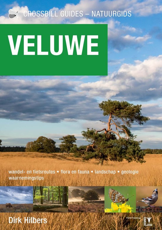 Crossbill guides - Veluwe