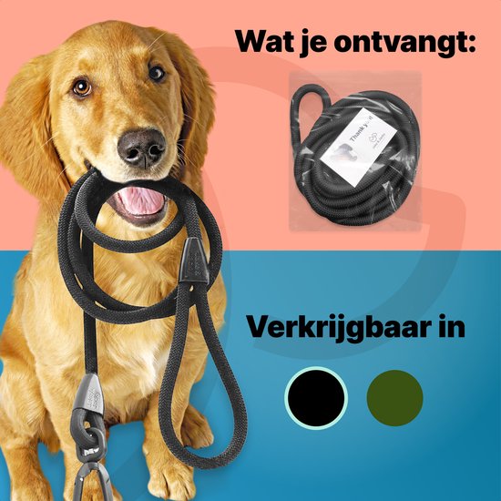 Golden Retriever avec une laisse noire dans la gueule. La laisse est emballée dans un sac plastique avec une note de remerciement. Disponible en noir et vert foncé.
