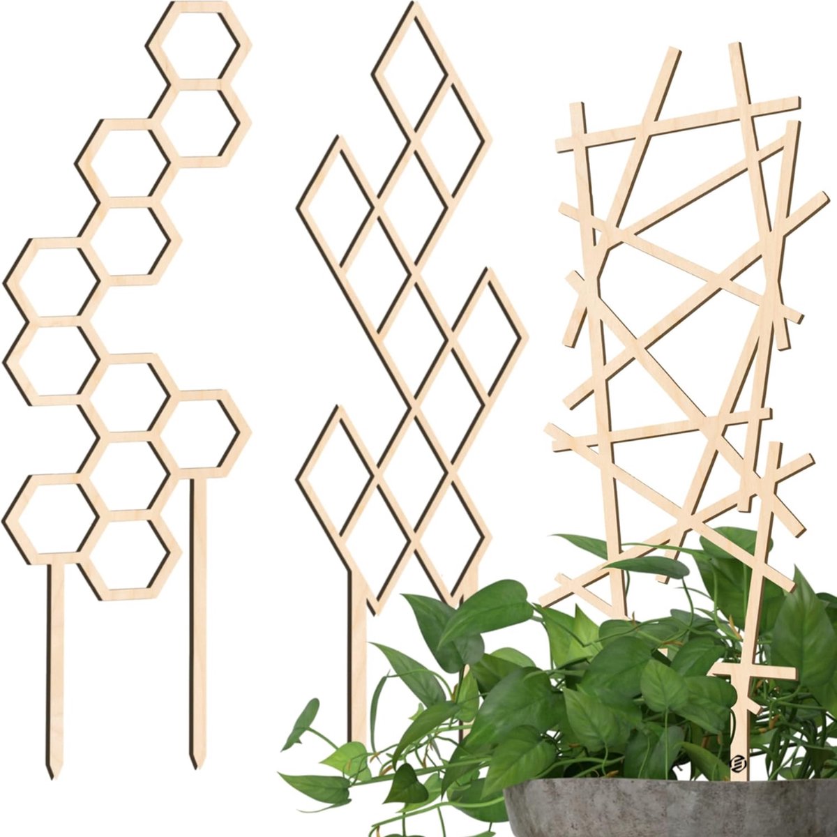 Equivera Klimrek Planten - Klimrek Planten Buiten Muur - Klimrek Planten Buiten - Klimrek Planten Tuin - Klimrek Nature - Plantenklimrek - Klimrek voor Planten - Must Have voor in de Tuin!