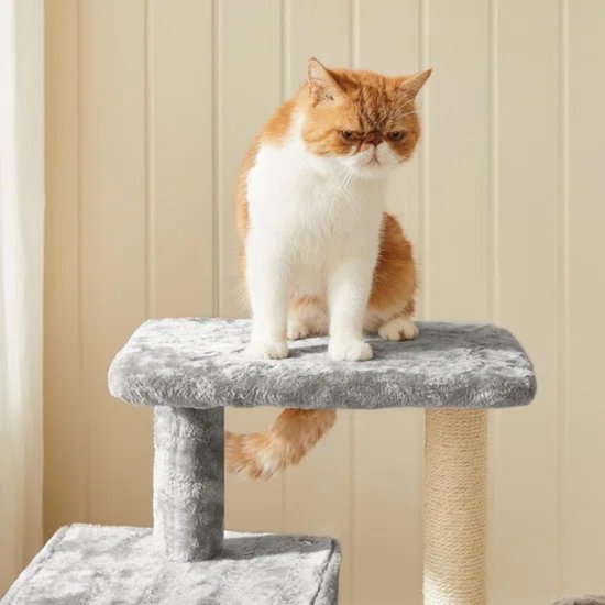 Heybly Kattenboom, klimtoren met krabpaal met meertraps, 145 centimeter hoog, uitgerust met twee grote platforms, een grote haak, een kattenmand, rookgrijs HCT016W