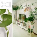 Witte clips en een klimplant langs een muur in een woonkamer met tv-meubel.