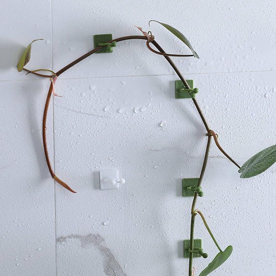 Plantenrank langs een betegelde muur, met groene en witte clips, waarvan één omringt een plantenstengel.