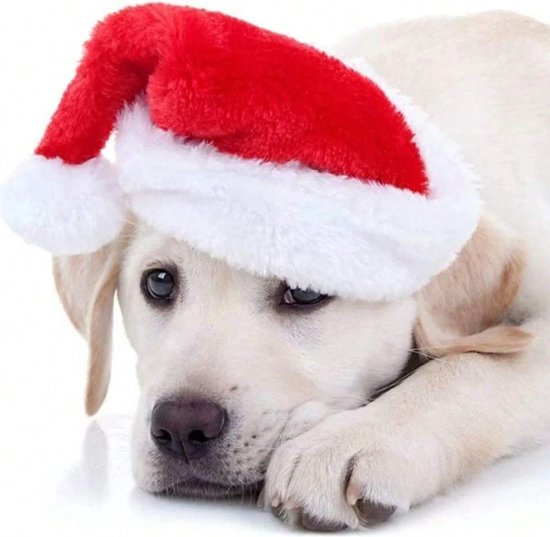 Chapeau de Père Noël S&E pour Animaux domestiques – Rouge – Noël