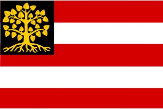 Vlag Den Bosch 's-Hertogenbosch