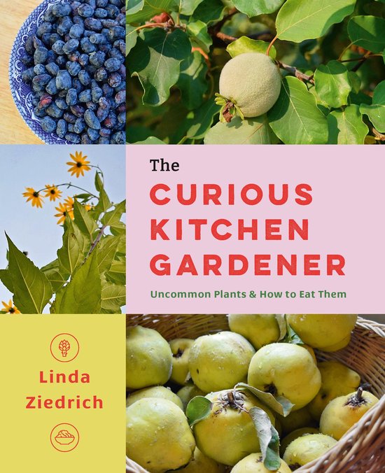 The Curious Kitchen Gardener - cover