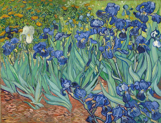 5D Diamond Painting Vierkante steentjes - Painting maat 50x70cm - Volledige bedekking - Complete set - Vincent van Gogh - Irissen