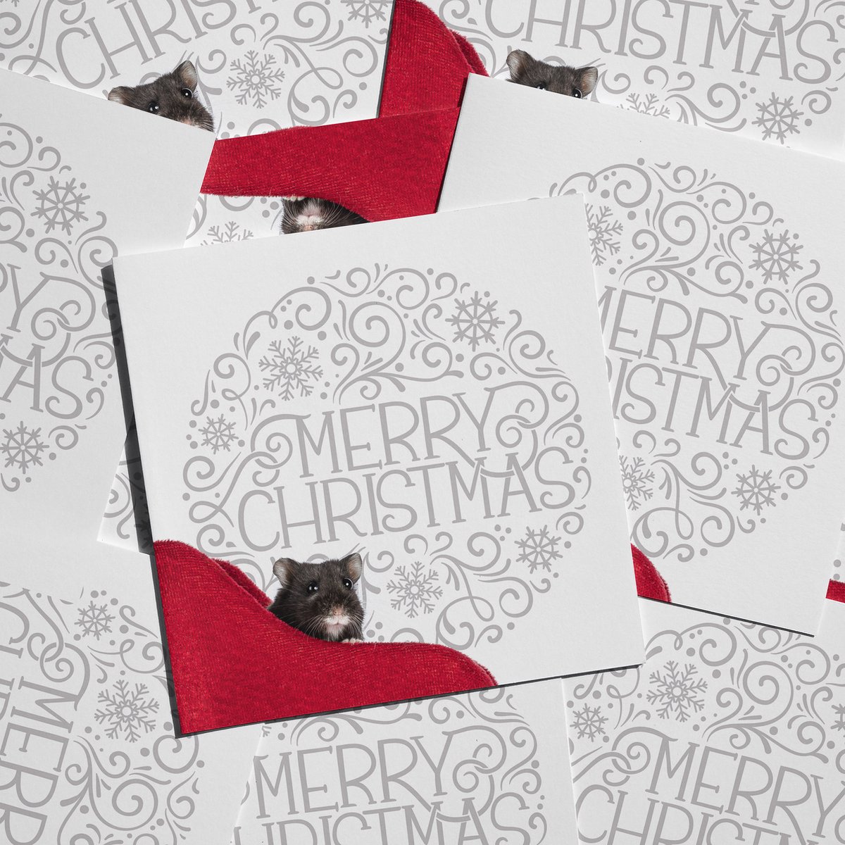 Cat'chy Images CARDS - kaarten - kerstkaarten - hamster - set10