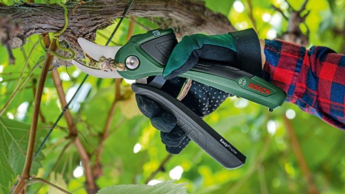 Bosch EasyPrune Accu snoeischaar - Met 3.6 V accu en USB lader