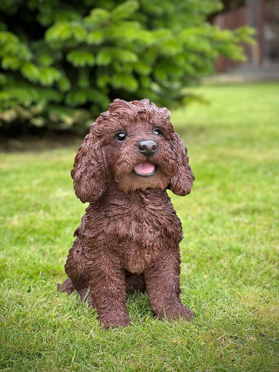 Labradoodle Bruin Levensecht 31 Cm Hoog Polyester Polystone Beeld 