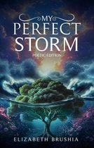 MY PERFECT STORM