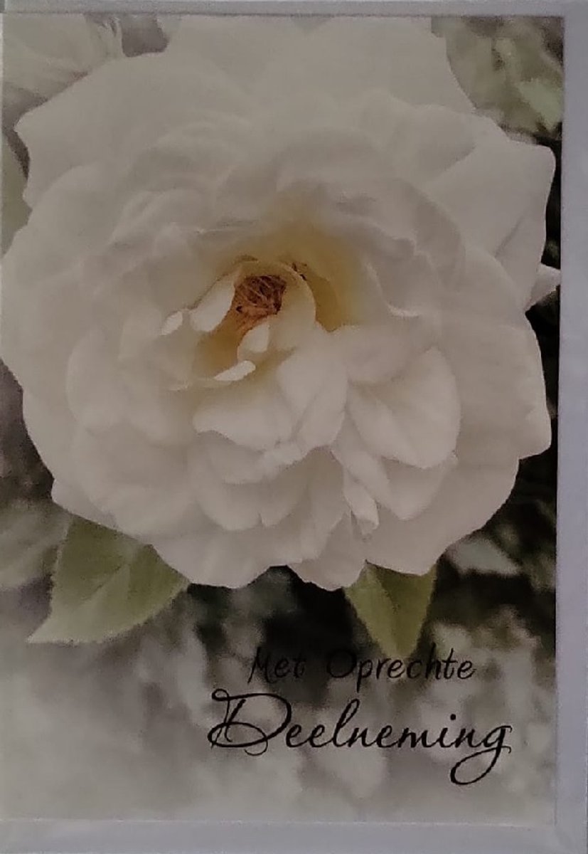 Met oprechte deelneming! Veel sterkte voor nu en de komende tijd. Een mooie kaart met een afbeelding van een witte bloem. Een dubbele wenskaart inclusief envelop en in folie verpakt.