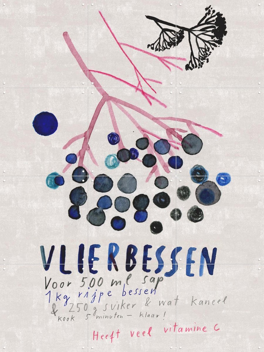 IXXI Vlierbessen, Signorinah - 60 x 80 cm - Gratis ophangtool - Grote wanddecoratie en posters - Illustraties, Eten & Drinken, Natuur