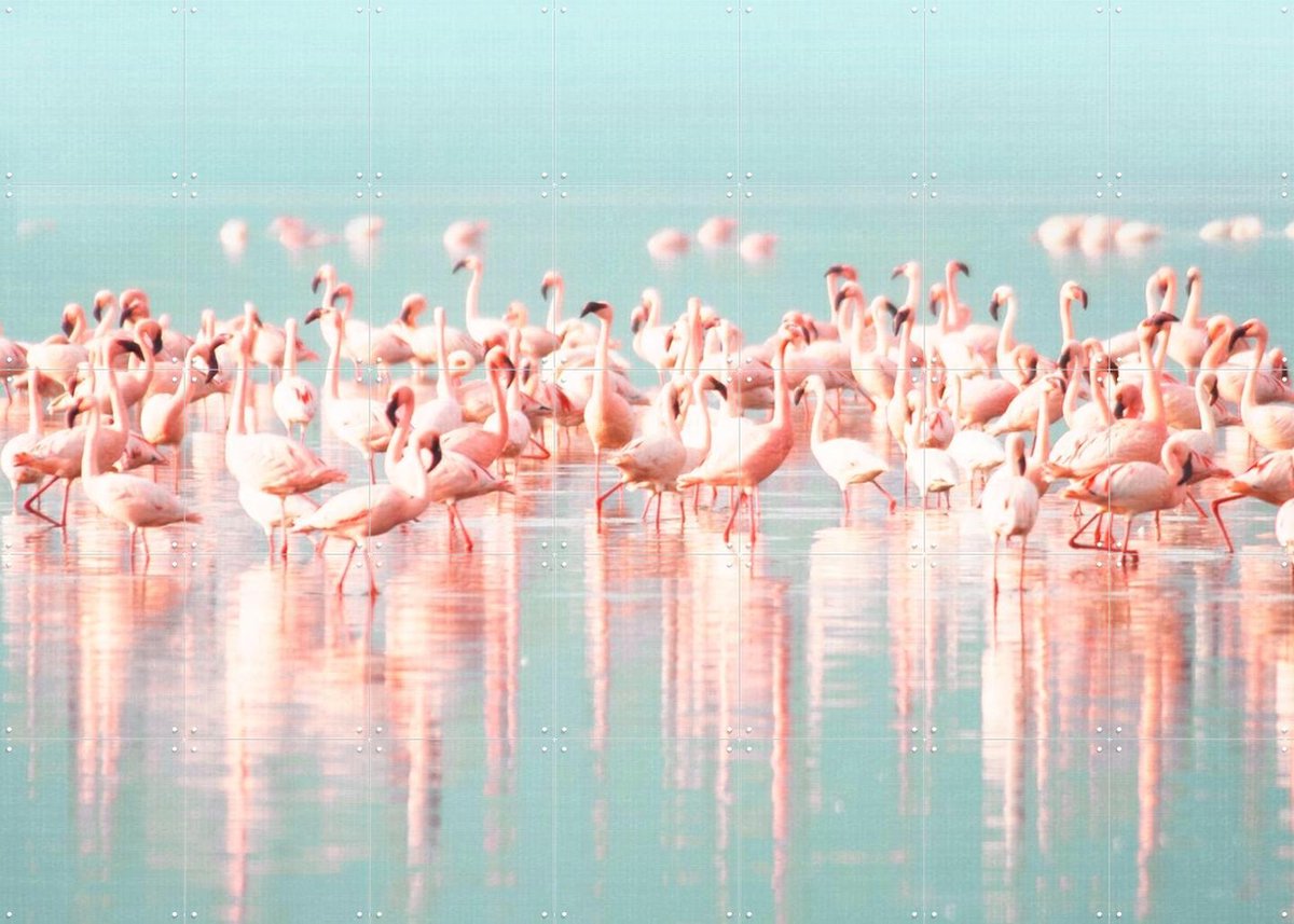 IXXI Flamingos, Lila + Lola - 140 x 100 cm - Gratis ophangtool - Grote wanddecoratie en posters - Fotografie, Kleurrijk, Woonkamer, Slaapkamer