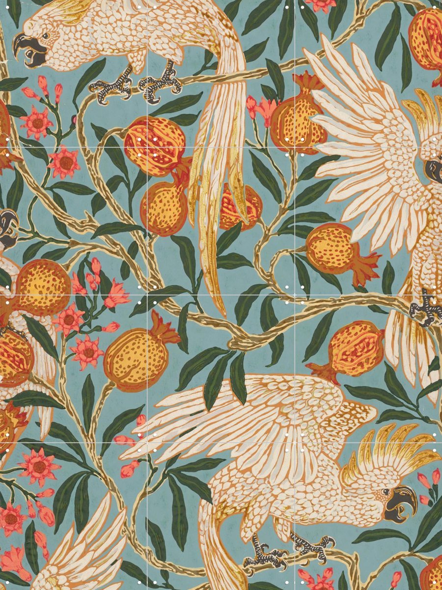 IXXI Cockatoo and Pomegranate, Walter Crane & Victoria and Albert Museum - 60 x 80 cm - Gratis ophangtool - Grote wanddecoratie en posters - Klassiek