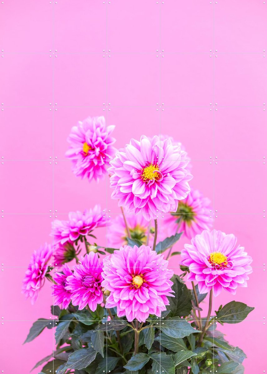 IXXI Flowers in Pink, Pati Photography - 100 x 140 cm - Gratis ophangtool - Grote wanddecoratie en posters - Fotografie, Kleurrijk, Slaapkamer
