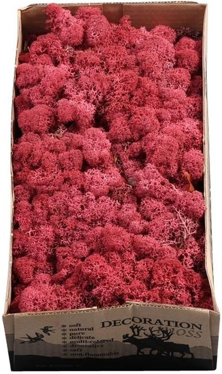 Decoratie Mos - Natuurlijke Vulling - Bloemstukken Maken - Levendige Kleur - 500 Gram - Bordeaux Rood