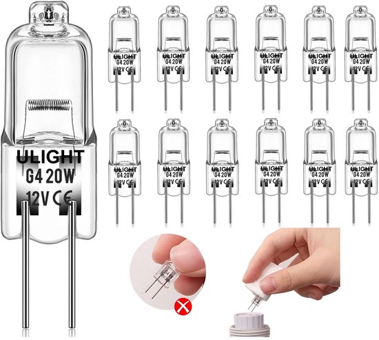 Grote G4 halogeenlamp van 12V 20W naast elf kleinere G4 halogeenlampen.